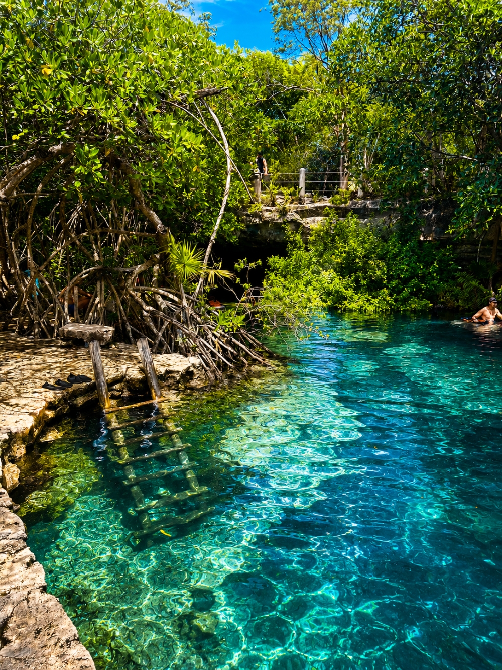 Los Cenotes Cerca de Playa del Carmen que Merecen un Espacio en tu Itinerario