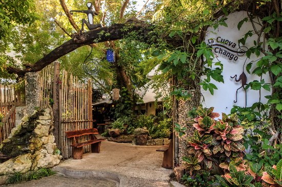 The Restaurants Playa del Carmen Locals Keep Coming Back To