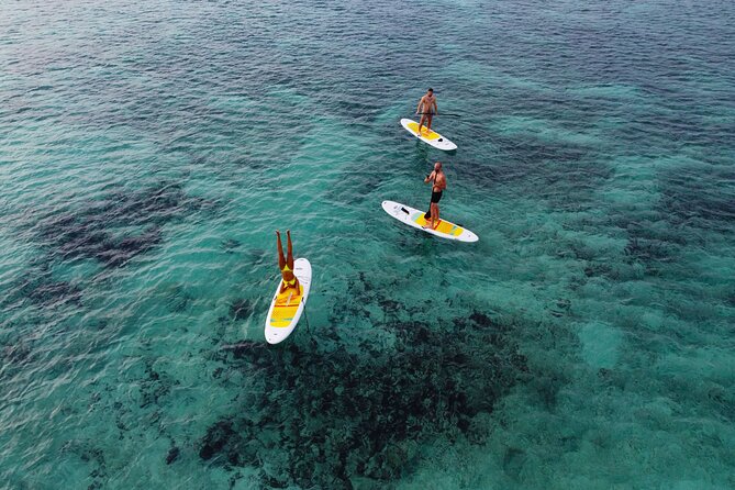 Paddleboarding in Playa del Carmen A Different Way to Experience the Caribbean